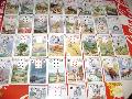 LENORMAND KRTYA